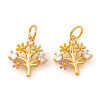 Brass Micro Pave Cubic Zirconia Charms KK-I672-44-2
