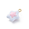 Alloy Enamel Charms ENAM-E362-08D-2