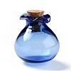 Lucky Bag Shape Glass Cork Bottles Ornament AJEW-A039-02H-1