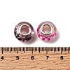 Printed Transparent Resin European Beads RESI-C063-03D-3