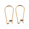 304 Stainless Steel Hoop Earring Findings LS-STAS-P223-01G-01-1
