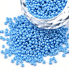 11/0 Czech Opaque Glass Seed Beads SEED-N004-003B-17-1