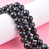 Natural Tiger Eye Beads Strands G-G448-10mm-19AB+-6