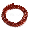 Natural Carnelian Beads Strands G-C280-B10-6mm-3
