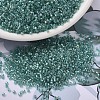 MIYUKI Delica Beads SEED-X0054-DB1767-1