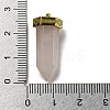 Natural Rose Quartz Pointed Pendants STAS-K273-03G-01-3