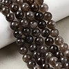 Natural Smoky Quartz Beads Strands X-G-B167-A09-8mm-1