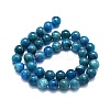 Natural Apatite Beads Strands G-K245-A03-05-2