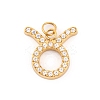 316 Stainless Steel Micro Pave Cubic Zirconia Pendants STAS-K284-01C-G-1
