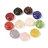 Mixed Styles Glass Beads GLAA-N066-01-1