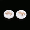 Natural Freshwater Shell Beads SHEL-N037-02H-G-2