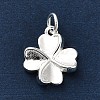 925 Sterling Silver Charms LS-FIND-Z069-04S-C-2
