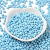 6/0 Opaque Baking Paint Glass Seed Beads SEED-M012-02A-13-2