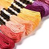 20 Skeins 20 Colors 6-Ply Polyester Embroidery Floss OCOR-M009-01D-01-2
