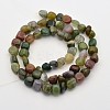 Natural Indian Agate Bead Strands G-P070-51-2