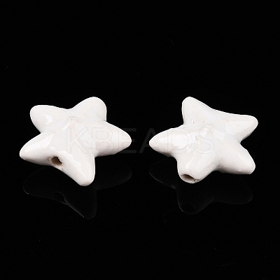Handmade Porcelain Beads PORC-N008-03F-1