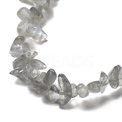 Natural Labradorite Beads Strands G-E607-A02-1