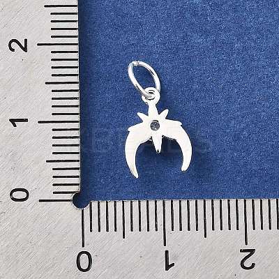 925 Sterling Silver Micro Pave Cubic Zirconia Charms STER-D309-01A-S-1
