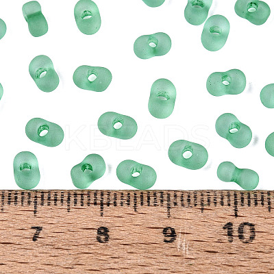 FGB Frosted Transparent Glass Seed Beads SEED-N013-06A-09-1