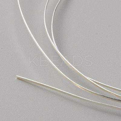 999 Fine Silver Rectangle Flat Wire STER-WH0010-12A-S-1