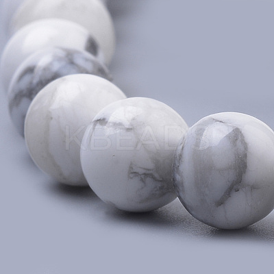Natural Howlite Beads Strands G-S259-47-6mm-1