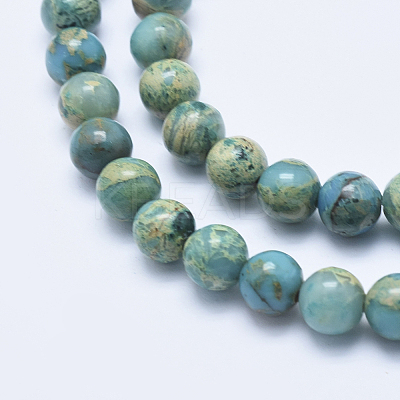 Natural Aqua Terra Jasper Beads Strands G-E444-14A-8mm-1