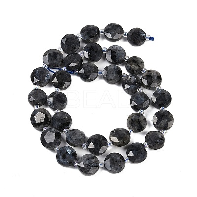 Natural Larvikite Beads Strands G-C116-A45-01-1