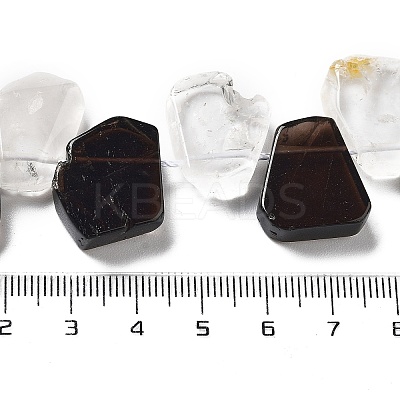 Natural Smoky Quartz and Crystal Quartz Beads Strands G-P528-K04-01-1