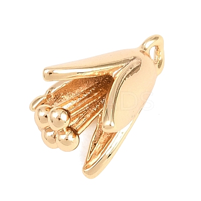 Brass Pendants KK-B181-01C-G-1
