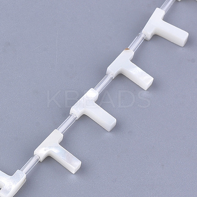 Natural Sea Shell Beads SHEL-T012-60T-1