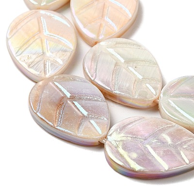 Natural Freshwater Shell Beads Strands SHEL-K006-35-1
