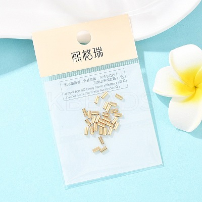SHEGRACE Brass Tube Beads XGRPCP415-250G-1