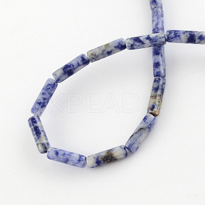 Natural Blue Spot Gemstone Beads Strands X-G-R181-16-1