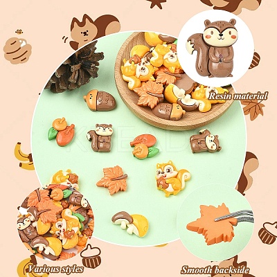 30Pcs 6 Styles Autumn Theme Opaque Resin Cabochons CRES-YW0002-81-1