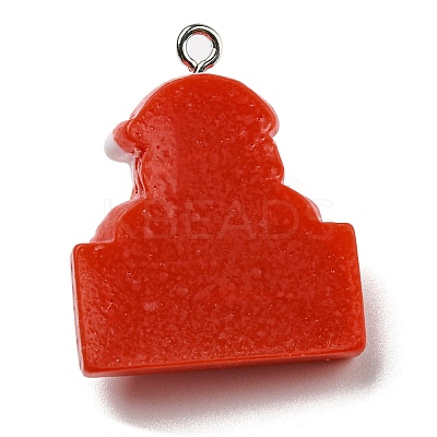Opaque Resin Pendants LS-CRES-D010-02G-1
