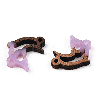 Opaque Resin & Walnut Wood Connector Charms RESI-N039-46G-1