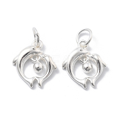925 Sterling Silver Charms STER-D302-05B-S-1