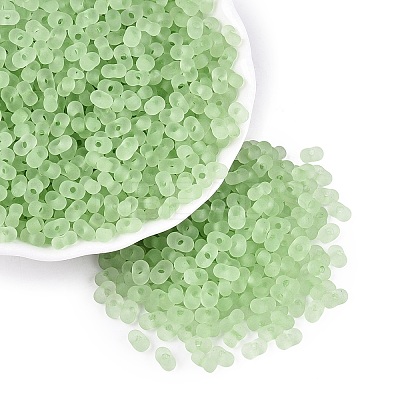 FGB Frosted Transparent Glass Seed Beads SEED-N013-06A-08-1