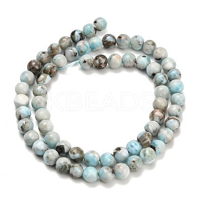 Natural Larimar Beads Strands G-L642-B19-6mm-1