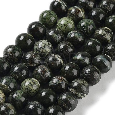 Natural Silver Line Jasper Beads Strands G-Z042-A01-02-1
