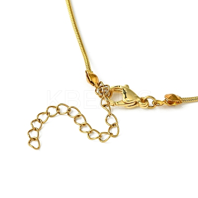 Brass Cubic Zirconia Charms Necklace NJEW-JN04919-1