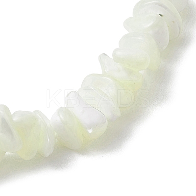 Natural Trochus Shell Chip Beaded Stretch Bracelets for Women Men BJEW-JB10549-1