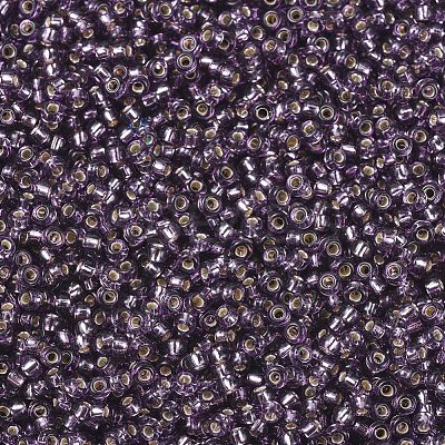 MIYUKI Round Rocailles Beads X-SEED-G007-RR0024-1