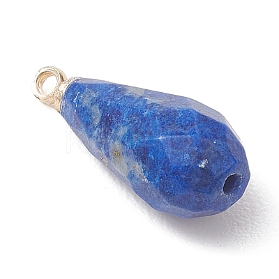 Natural Strawberry Quartz & Apatite & Lapis Lazuli & Lepidolite/Purple Mica Stone Pendants PALLOY-JF04925-1