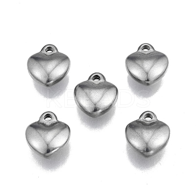 Non-Tarnish 304 Stainless Steel Charms STAS-N099-26-1