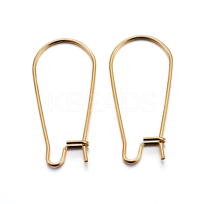 304 Stainless Steel Hoop Earring Findings LS-STAS-P223-01G-01-1