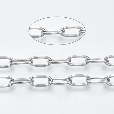 Tarnish Resistant 304 Stainless Steel Paperclip Chains CHS-S001-06A-P-1