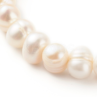 3Pcs 3 Styles Natural Cultured Freshwater Pearl Stretch Beaded Bracelets Sets BJEW-JB06266-1