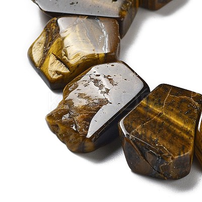 Natural Tiger Eye Beads Strands G-P528-K11-01-1