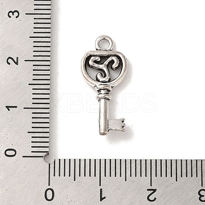 Tibetan Style Alloy Pendants LS-TIBEP-L021-02AS-1